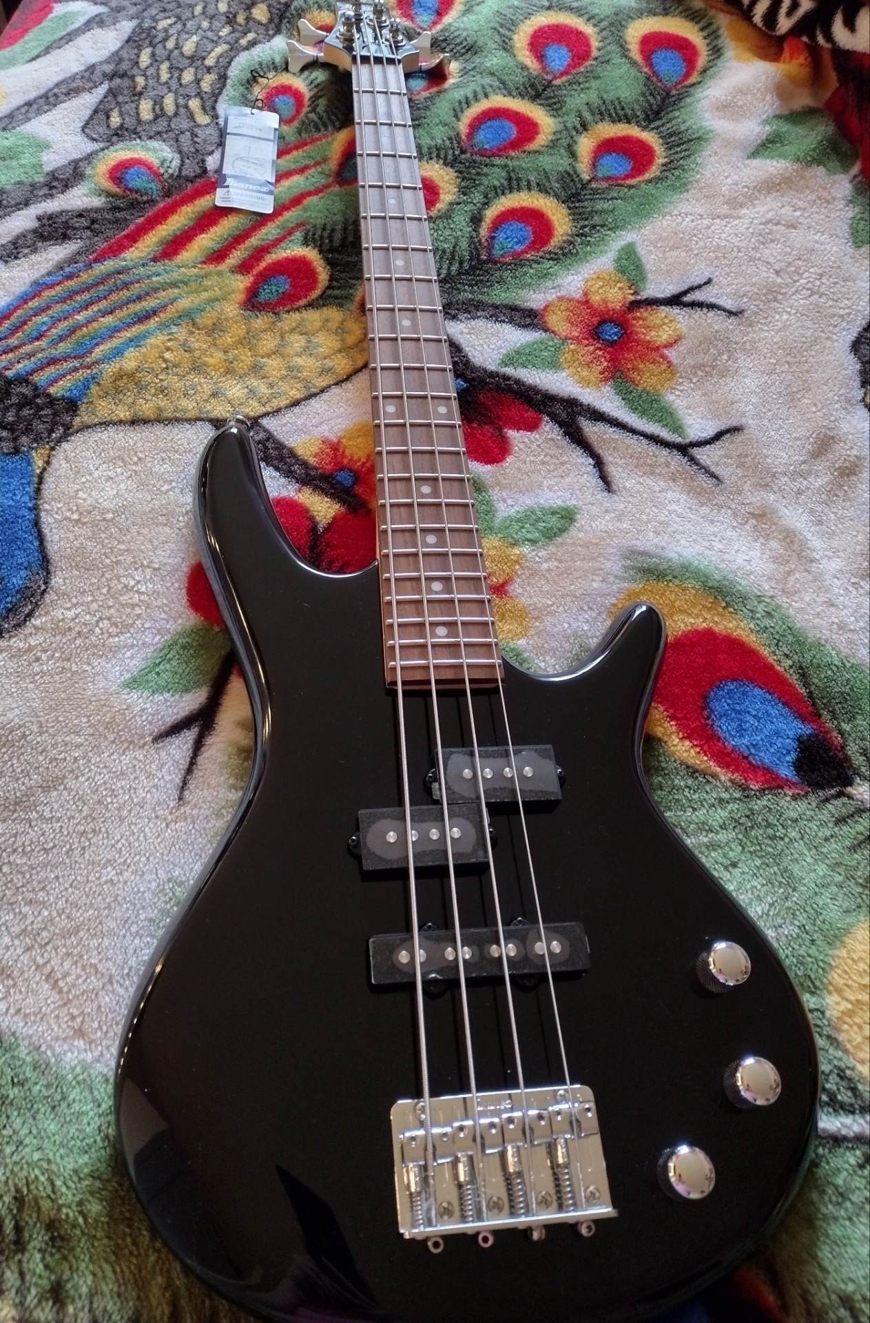 I Got a Bass Guitar by Lo